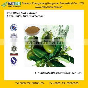 The Olive Leaf Extract with Natural Oleuropein Powder