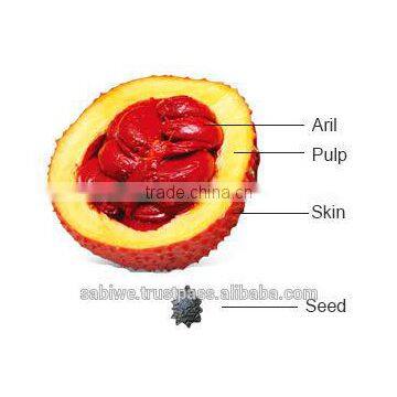 The Best Qualtity GAC FRUIT OIL (Momordica Cochinchinensis) photo-3