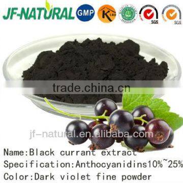 Black currant extract Anthocyanidins 10%