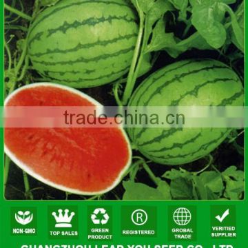 MW22 Yanhong High sugar green f1 hybrid watermelon seeds for sale