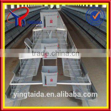 galvanized or pvc coated automatic chicken waterer (ISO9001 factory)