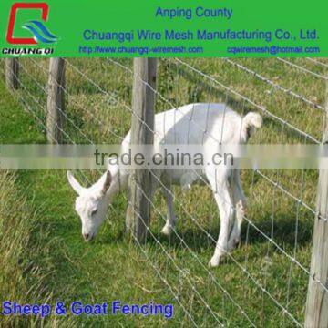 electro galvanized goat farming cattle fence / goat fence