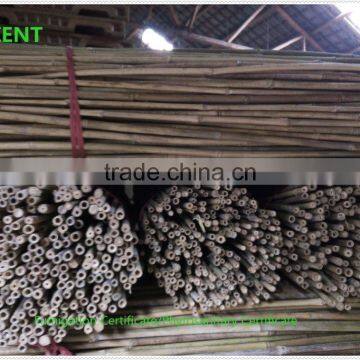 ZENT-164 Bamboo Poles small