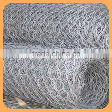 Widely Application Chicken Wire /Bird Cage Mesh /Galvanized Hexagonal Wire Netting