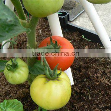 800 kg per Hour High Efficiency Cocopeat Drying Machine/ Coco Peat Dryer With Good Drying Effort photo-5