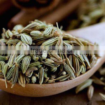 Fennel Seeds photo-2