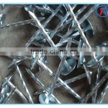 Trade Assurance Umbrella Roofing Nails With Twist Shank 2'' 2.5'' 3'' From China photo-5