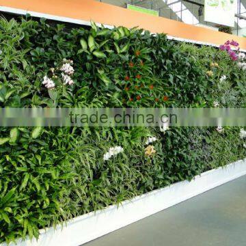 Jungle Forest Vertical Plant Green Wall Indoor Customized Framed Grass Wall photo-6