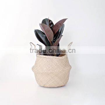 Natural belly seagrass basket / planter for home decoration