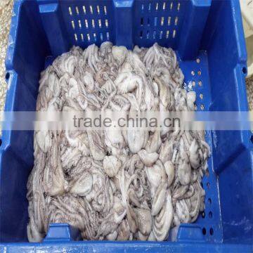 better price fresh frozen baby octopus from excellent factory