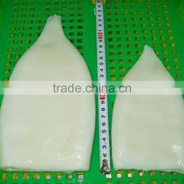 EU Standard Pacific Squid Tube photo-3