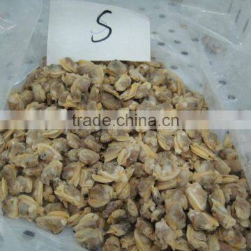 Tasty and Delicious Best Frozen Baby Clam Meat photo-3