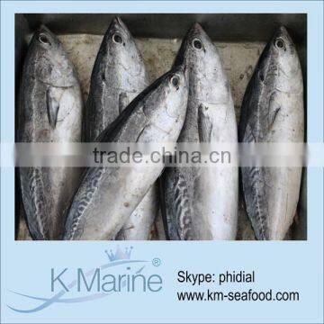 Original Sea Frozen Bonito Fish lot number#kmw4358