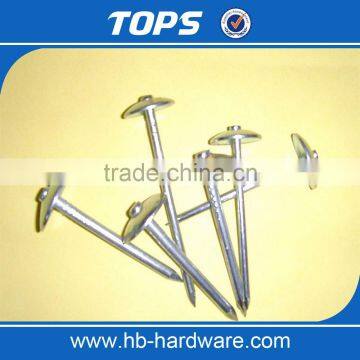 China Umbrella Head Roofing Nails photo-5