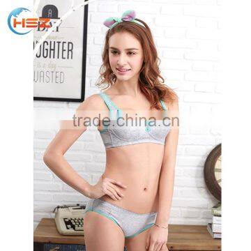 HSZ-2271 Latest Design 2017 Women Sexy Panty Lingerie Indian Bra Brands Customized Elastic Band Mature Lady Hot Underwear