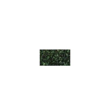 Granite of  the Chinese evergreen