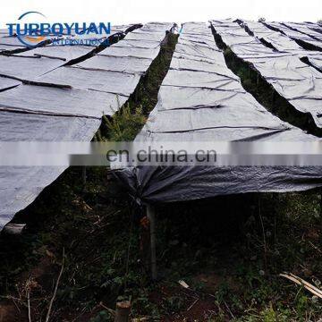 reinforced hdpe fabric poly sheet cover black agriculture tarpaulin for greenhouse