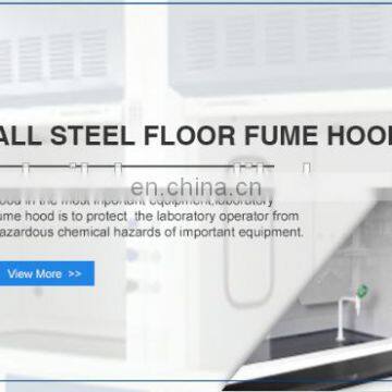 Table Top/ Walk in Explosion Proof Fume Hood From Hopui Factory photo-2