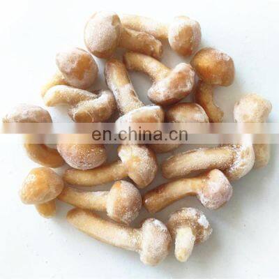 Frozen Nameko IQF Nameko IQF Fungus Edible Mushroom Nameko Congelado