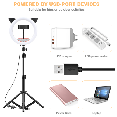 Cat Ear Makeup Selfie 10 Inch 10inch RGB Ring Fill Light With Tripod Stand Photography Phone Flash Ring Light Lamp Fashion Circle photo-2