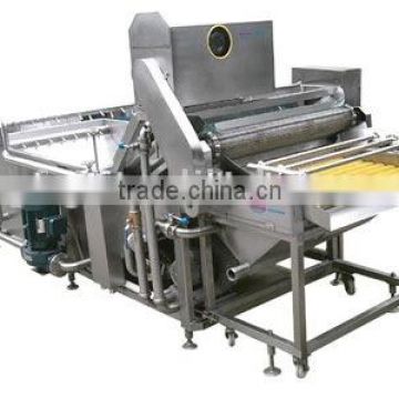 XF-QX vegetables and fruit Washing equipment