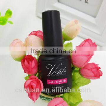 V.chlo Wholesale Soak off Colored Gel Polish Cat Eye 3D Magnet Nail Gel photo-3