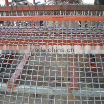 crimped wire mesh