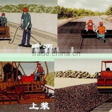 CHINESE DAMPPROOF PP GEOGRID