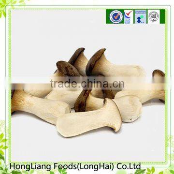 Hot sale fresh king oyster mushroom