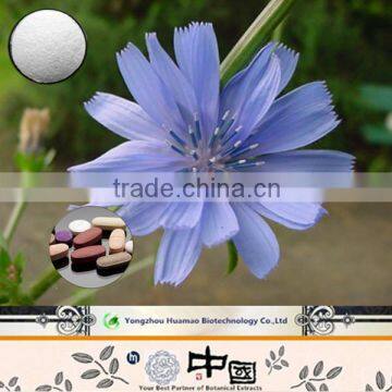 Factory lot stock 100% natural organic chicory extract 10:1