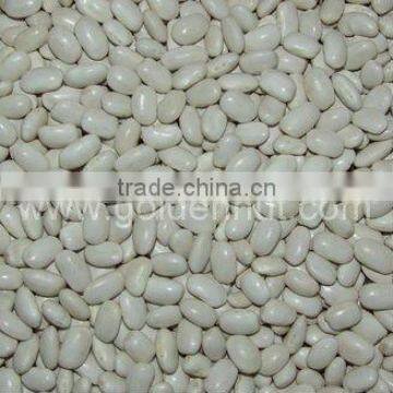 White kidney beans(Japanese type)