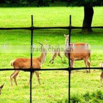 Plastic Netting Protected Deer from damage & ideal for seasonal