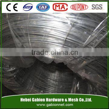 hot dipped galvanized steel wire / electro galvanized iron wire