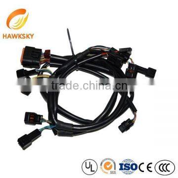 2*12P 3.0mm Pitch Molding Type Custom Motocycle Wiring Harness