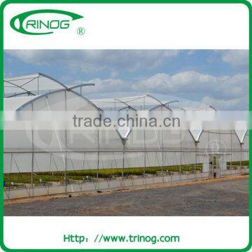 Commercial Greenhouse for agriculture