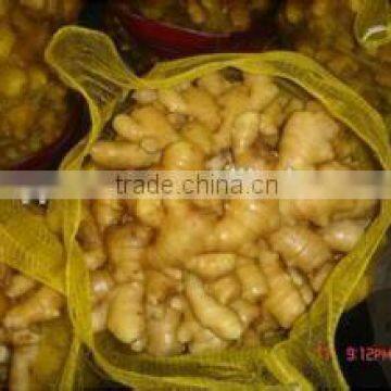 New crop dry ginger with competitive export price