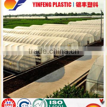 High-end Market Transparent Agricultural Greenhouse Plastic Film