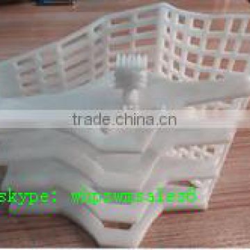 Laser Plastic 3D Printing Fast Rapid China New Product