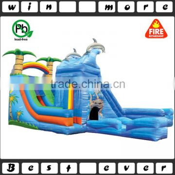 pvc material adult size and outdoor dolphin playhouse, big cheap inflatable water slide with pool for sale