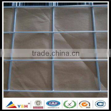 Hot Sale and Quality Welded Wire Mesh (Directly Factory)