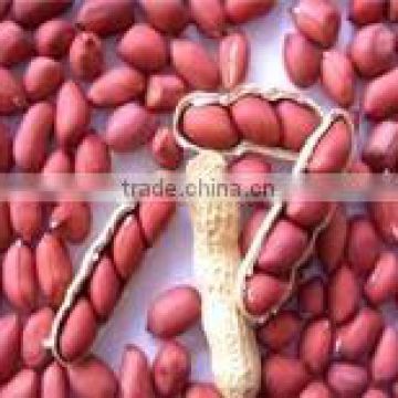 2014 crop Chinese four kernel red skin peanut