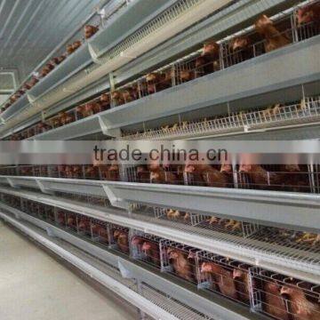 Design Layer Chicken Cages photo-3