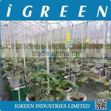 Dutch Pot Vegetable Growing System photo-4