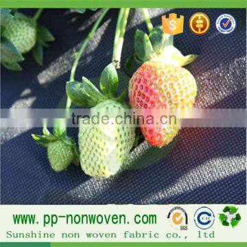 Weed Control Mat/nonwoven Fabric With UV Resistant/weed Suppressing Membrane photo-3