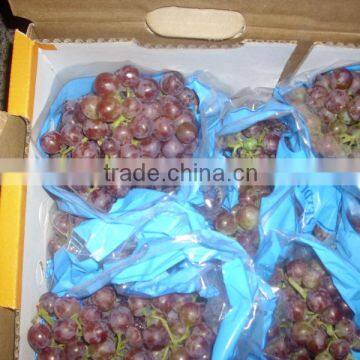 Fresh Grapes