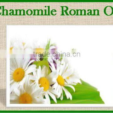 2014 Best Leading Supplier for Roman Chamomile Oil