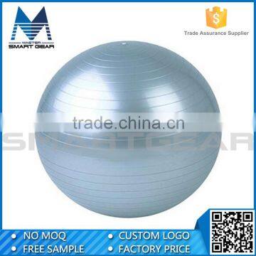 Hot Sale 65CM Exercise Balance Yoga Ball