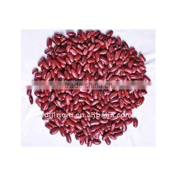 dark red kidney bean