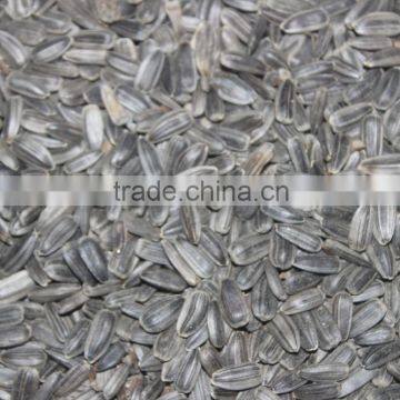 SUNFLOWER OIL ( Cold Press ) photo-4