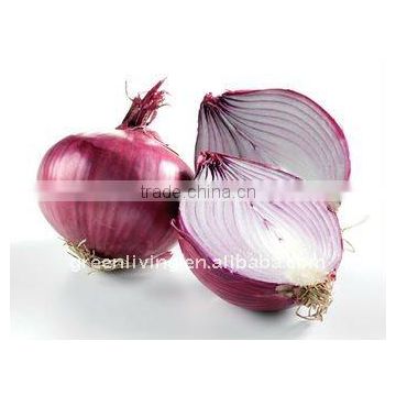 sell small good quality Onion,yellow onion